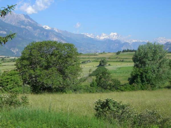 Alpineaccomodation Гилестр Екстериор снимка